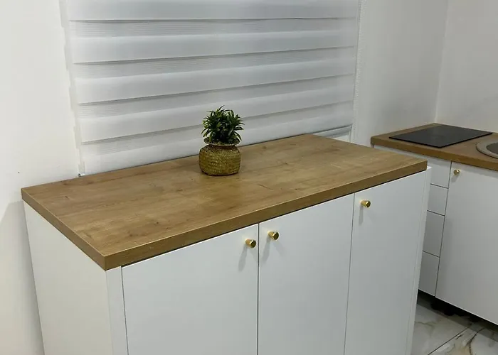 Milena פודגוריצה